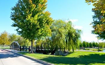 Green space